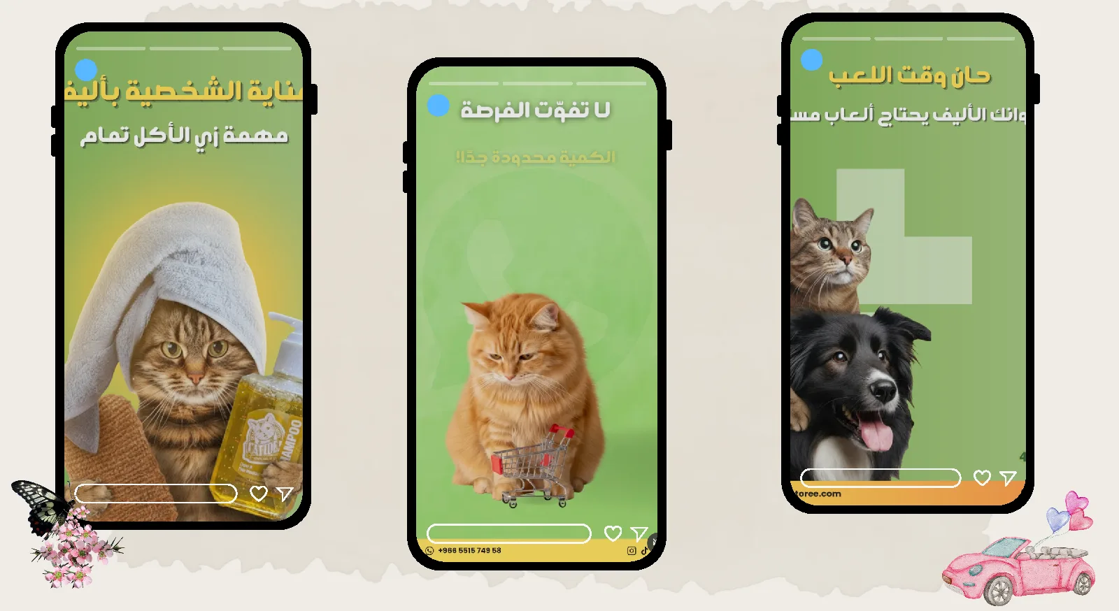 العناية بالقطط